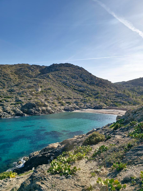 Apartment - Llançà - El Port de la Selva — fotografía 24