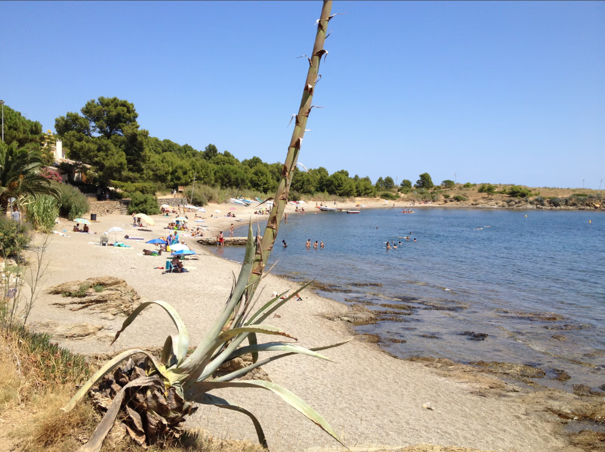 Cala Canyelles, Llançà (Costa Brava)